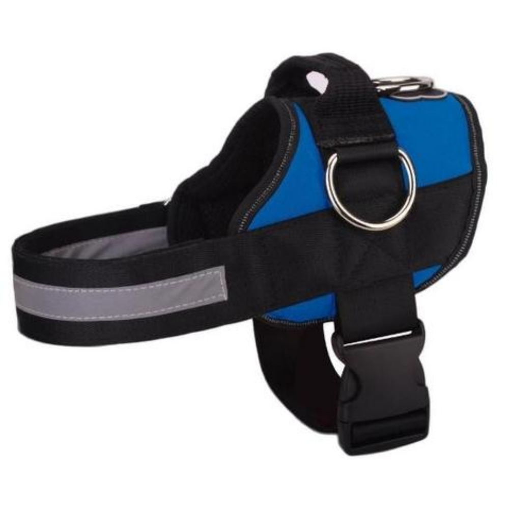Joyride No Pull Harness